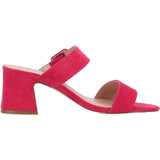 Celsa Fuchsia